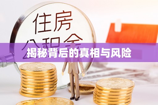 鹤山揭秘背后的真相与风险