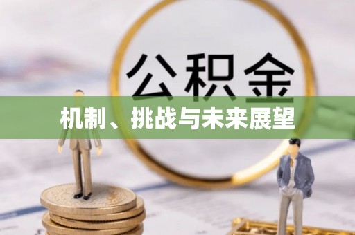 鹤山机制、挑战与未来展望